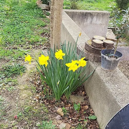 Prázdninový dům Maison De Charme Dans Les Vignes *