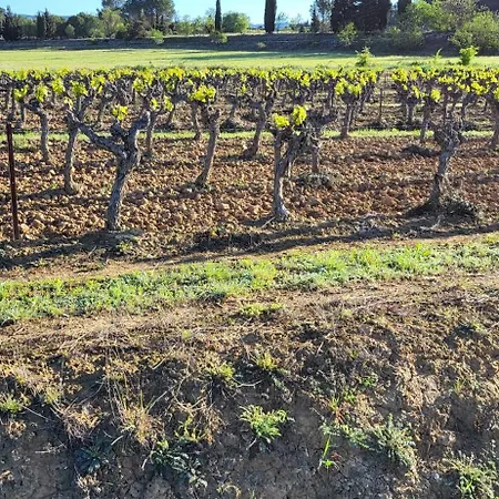Maison De Charme Dans Les Vignes Villarzel-Cabardès